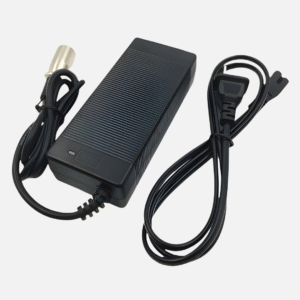 Battery Charger 48v