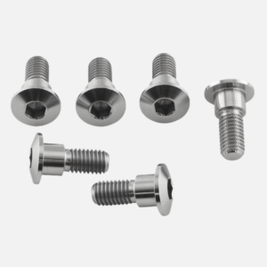 Disc Plate Bolt 8x22